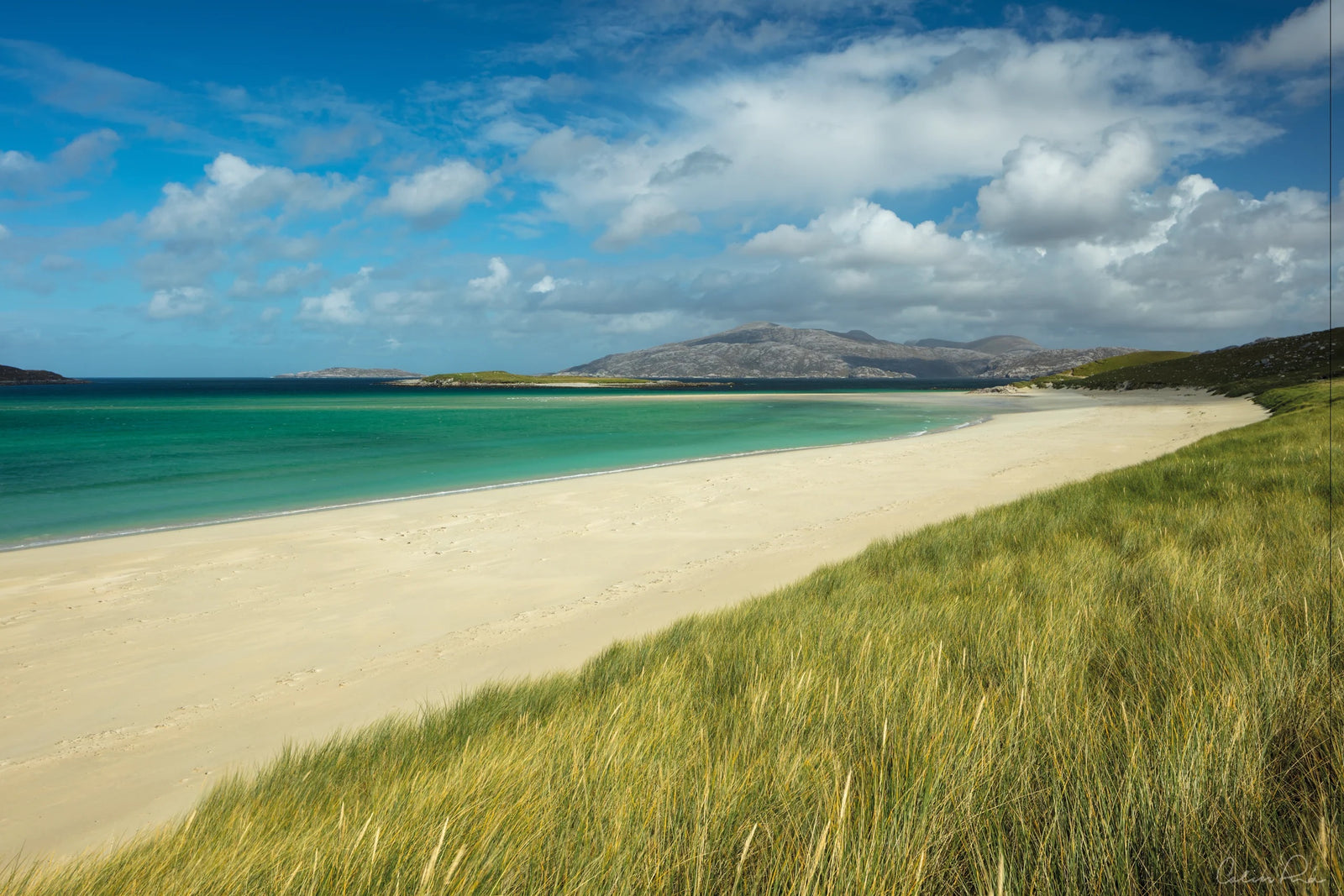 Really Wild Swimming