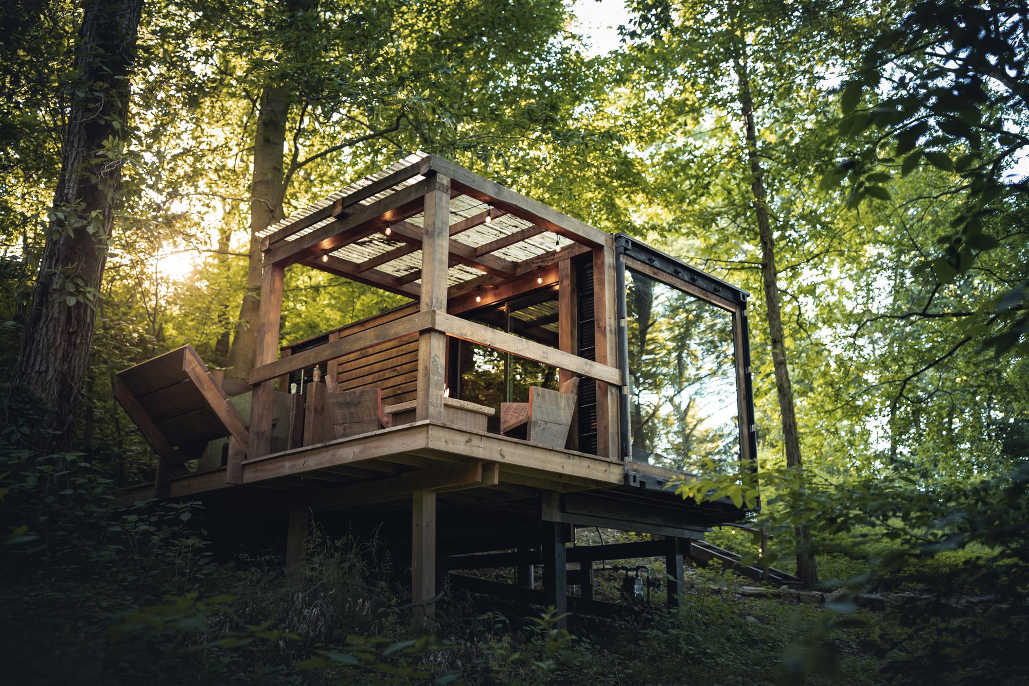 A Guide to Your Next Forest Cabin Getaway