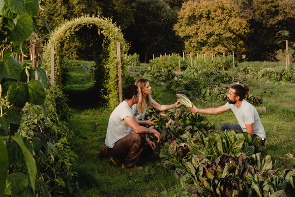 Quintosapore family farm: Livia Giuggioli, and her brothers Alessandro & Nicola