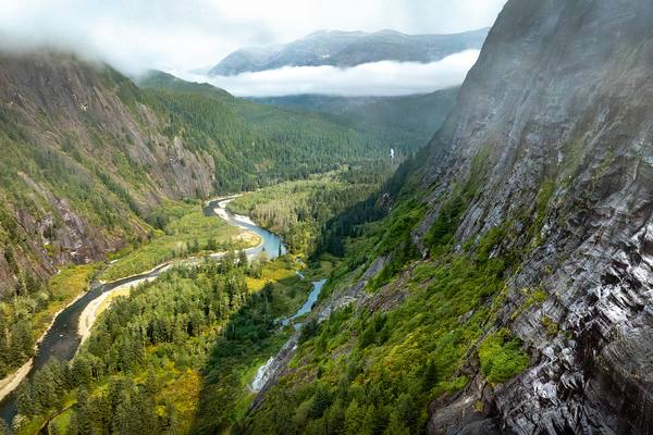 Chasing the Spirit Bear with Jack Plant