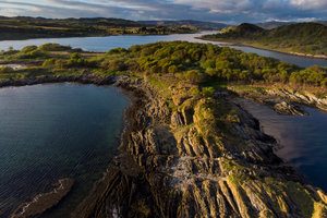 Seawilding: Marine Habitat Restoration in the Scottish Highlands