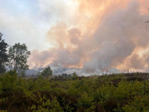 The Highland Wildfires
