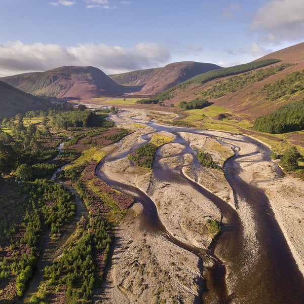 Rewilding Scotland: with Peter Cairns