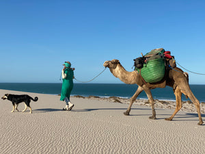 Alice Morrison: From CEO to Modern-day Adventurer and Explorer