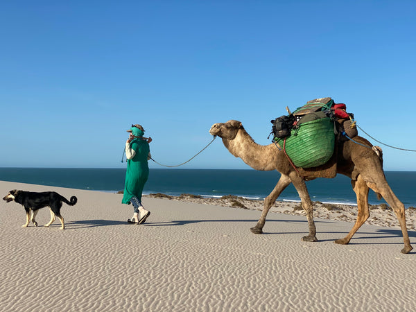Alice Morrison: From CEO to Modern-day Adventurer and Explorer
