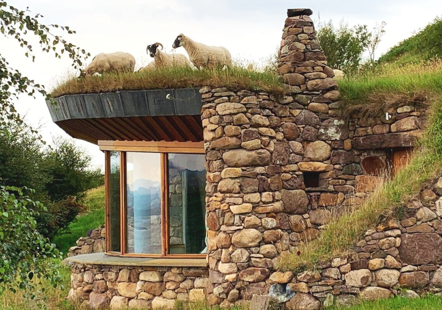 Eco-Friendly Staycations