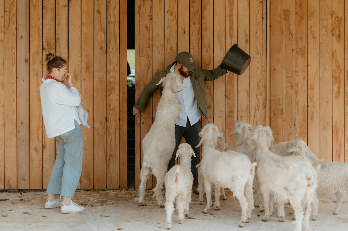 6 Countryside Stays with Four-legged Friends