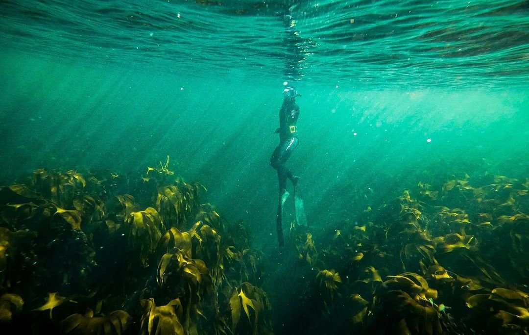 Underwater Scotland