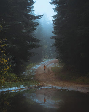 Why Do We Plant Trees?