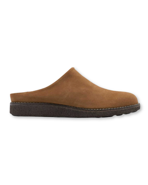 Sahara