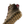 Bracken