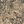 Field Blends - Smokey Peach & Jalapeno