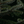 FieldDay Candle - Fir