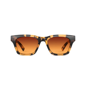 Matte Light Tort