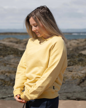 Sunshine Yellow